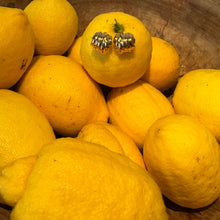 Load image into Gallery viewer, mary earring