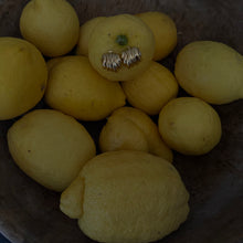 Load image into Gallery viewer, mary earring