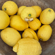 Load image into Gallery viewer, mary earring