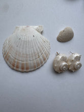 Load image into Gallery viewer, maggers shell earring
