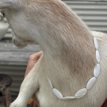 Load image into Gallery viewer, Birkley beaded necklace
