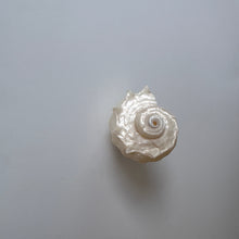 Load image into Gallery viewer, maggers shell earring
