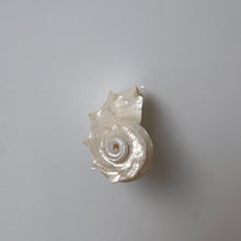 Load image into Gallery viewer, maggers shell earring
