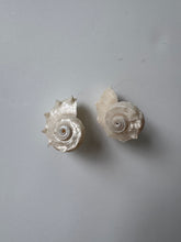 Load image into Gallery viewer, maggers shell earring
