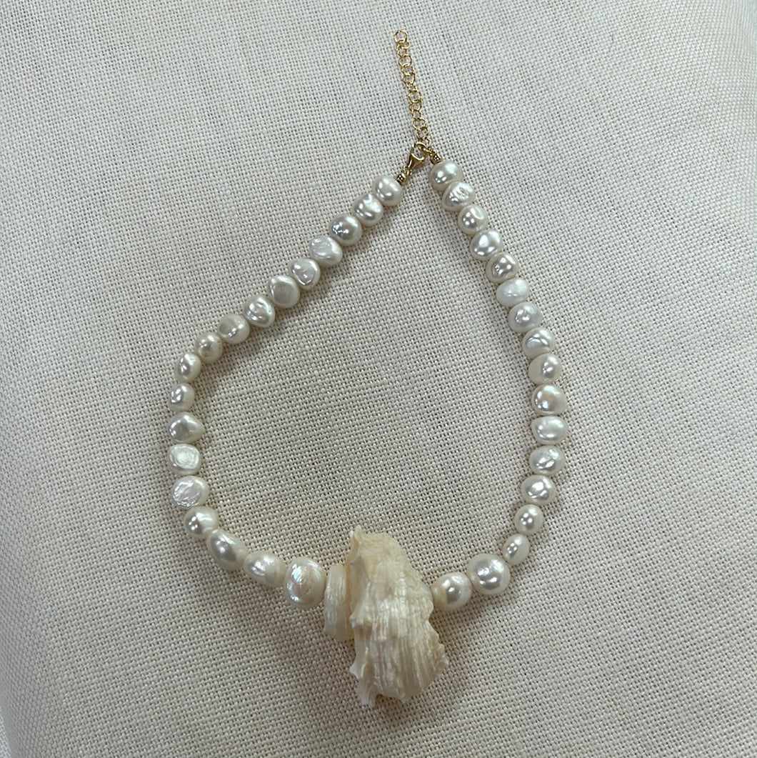 Bahamas shell necklace