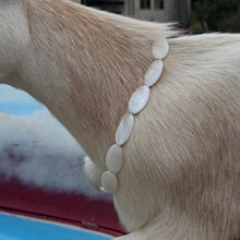 Load image into Gallery viewer, Birkley beaded necklace
