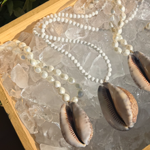 Load image into Gallery viewer, molly shell necklace
