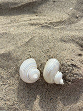 Load image into Gallery viewer, monaco shell earring
